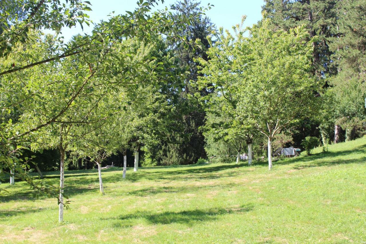 Gite 2 Du Chateau De Feschaux Villeneuve-sous-Pymont المظهر الخارجي الصورة